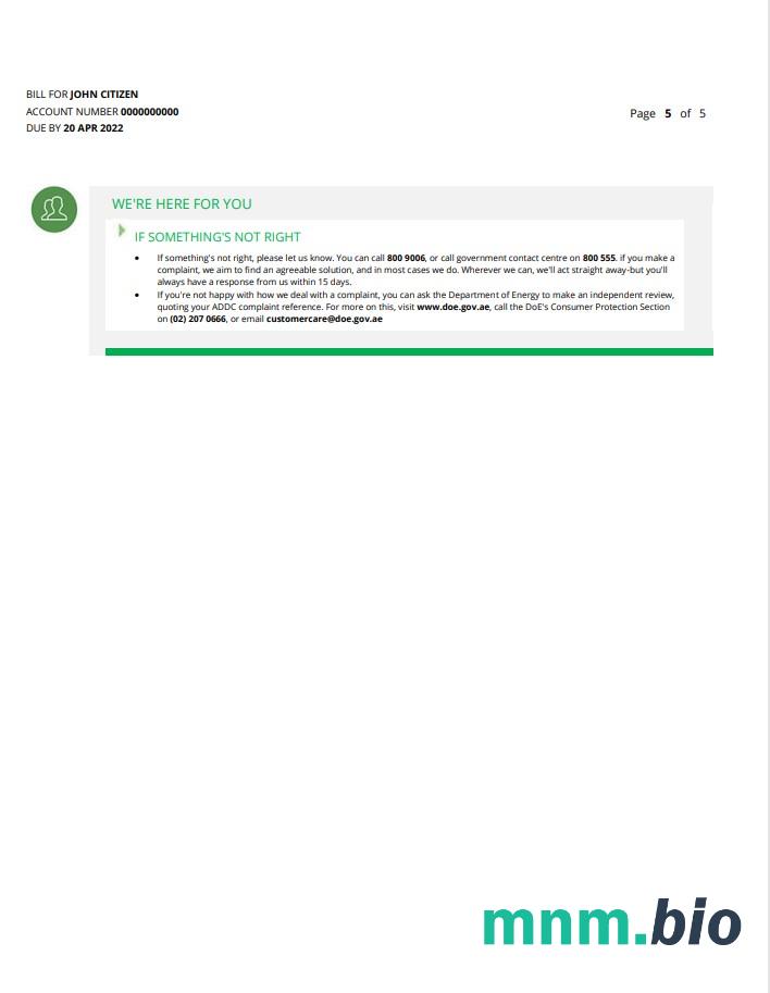 UAE Ras Al Khaimah Al Ain Distribution Co. Szablon rachunku za media Word i PDF (5 stron) 5